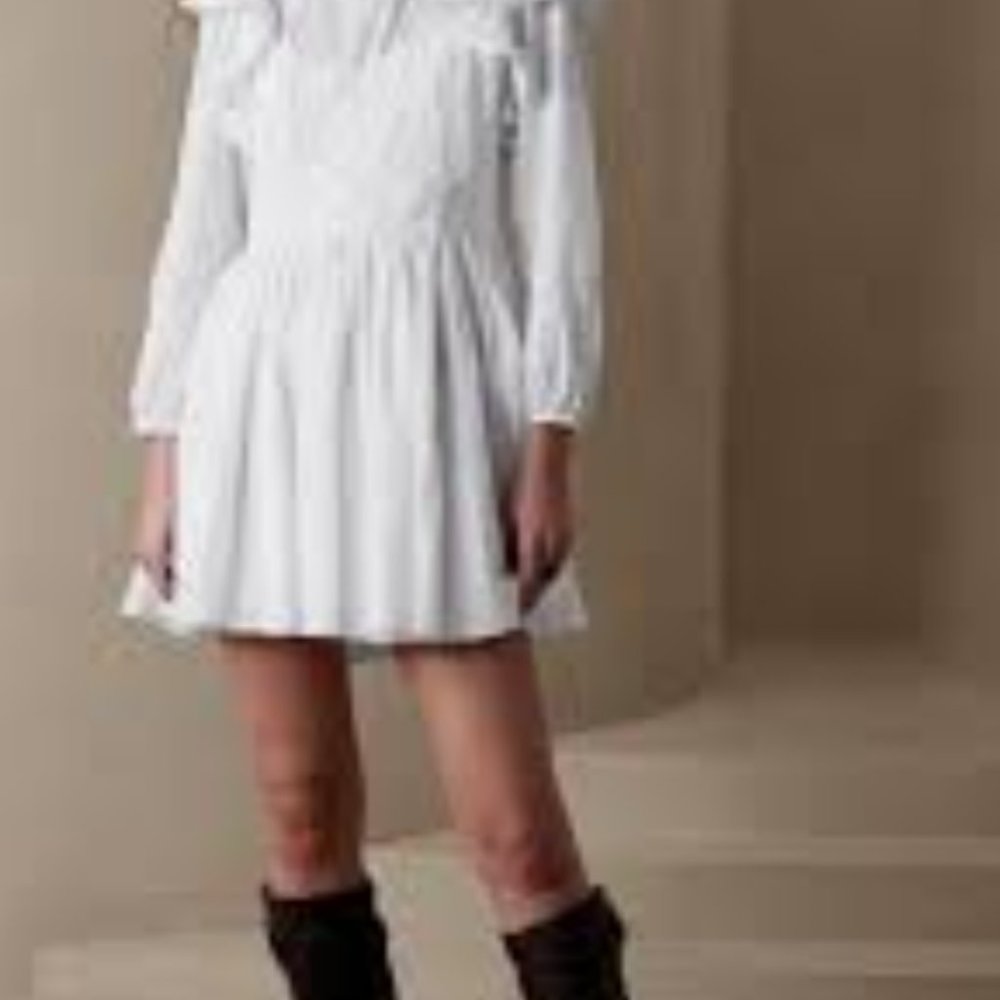 Banana Republic Esme Mini Dress